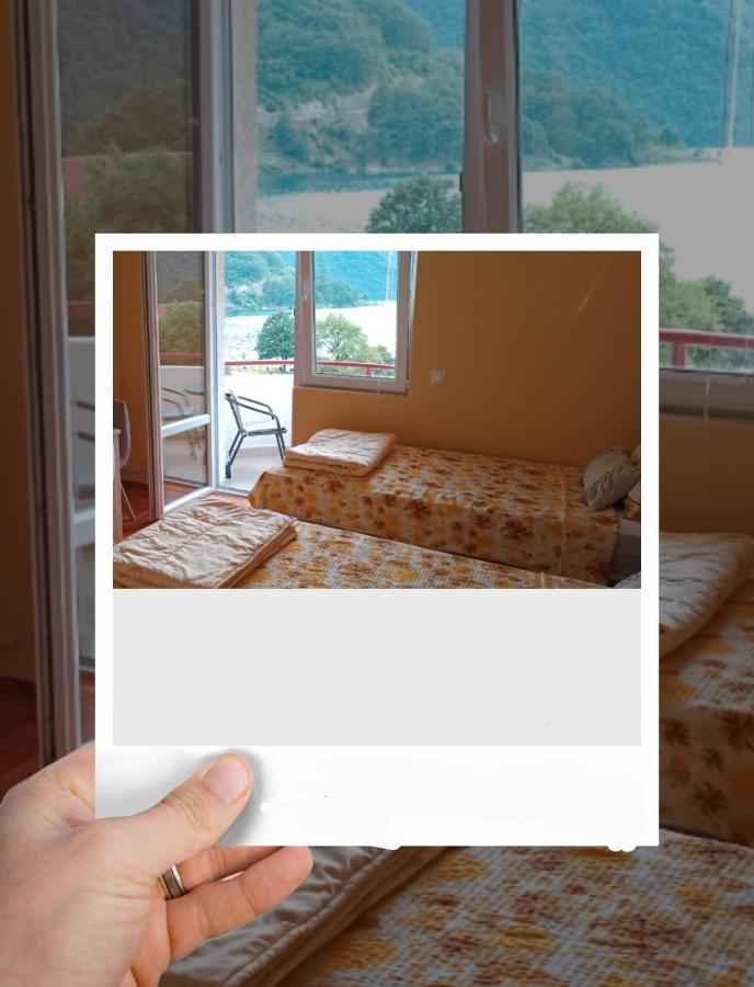 Studio Apartman D&S Plužine Dış mekan fotoğraf